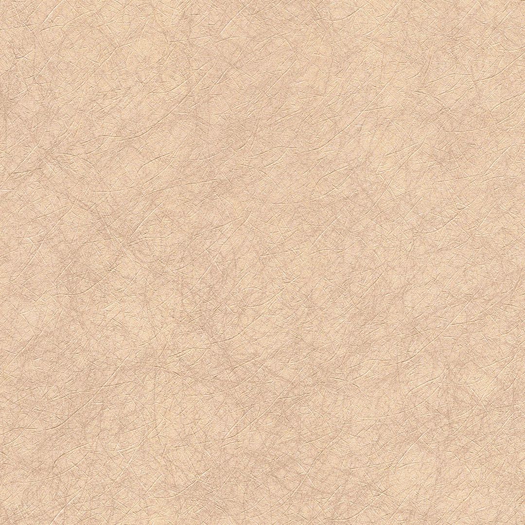 Connoisseur CN1141