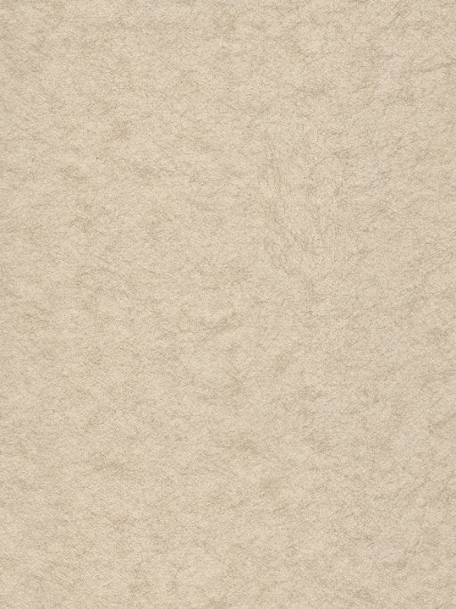 Zen Walls 77010-2